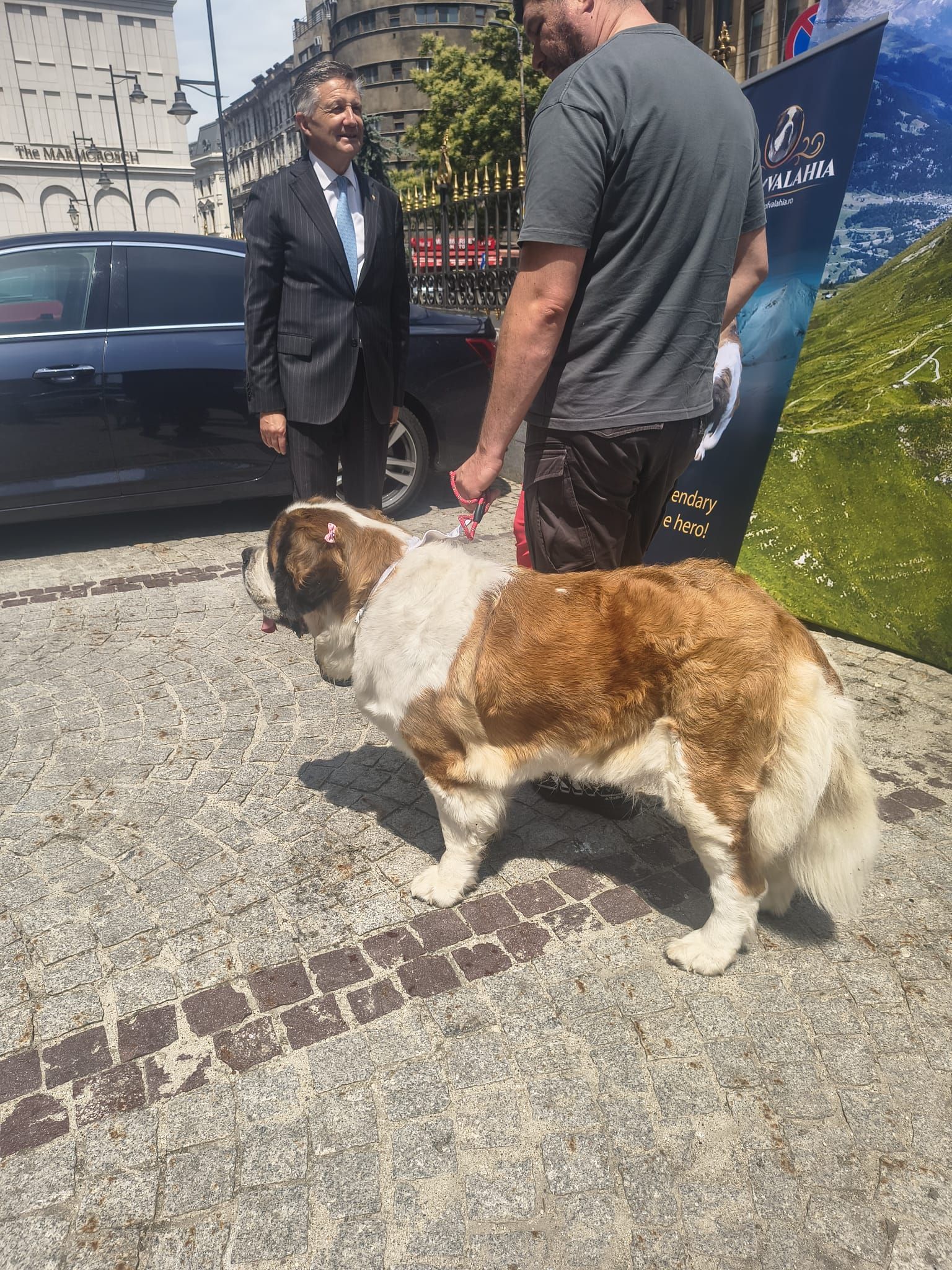 FOTO. Un CEAS, o POVESTE. Orologerie elvețiană la BNR. „Valori care rezistă timpului” marchează 115 ani de relații România-Elveția<br> - Poza 14