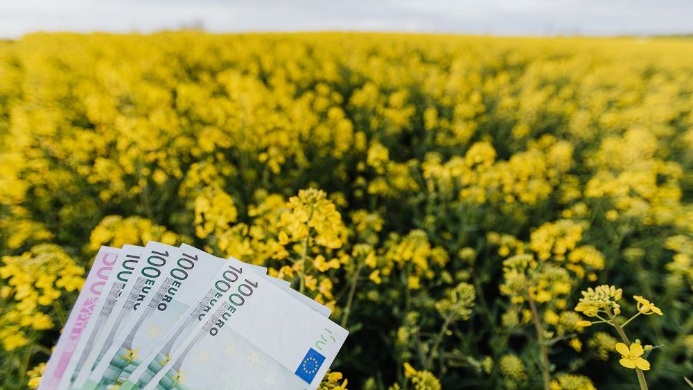 Cum poți să accesezi fonduri în agricultură de la stat: de câți bani ai nevoie și ce pași ar trebui să urmezi