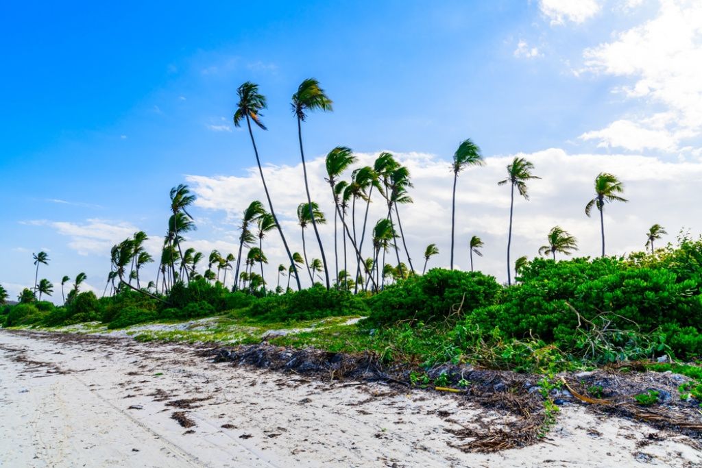 Plajă Zanzibar