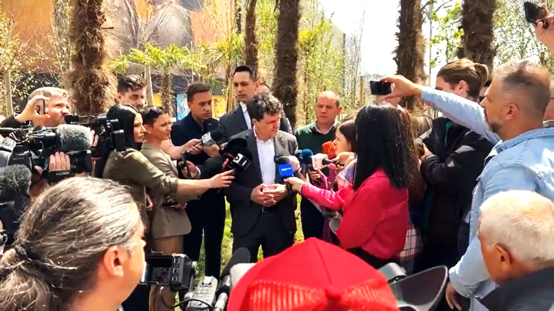 VIDEO | Scandalul palmierilor din Capitală: Nicușor Dan: Îi scoatem și-i ducem domnului Negoiță