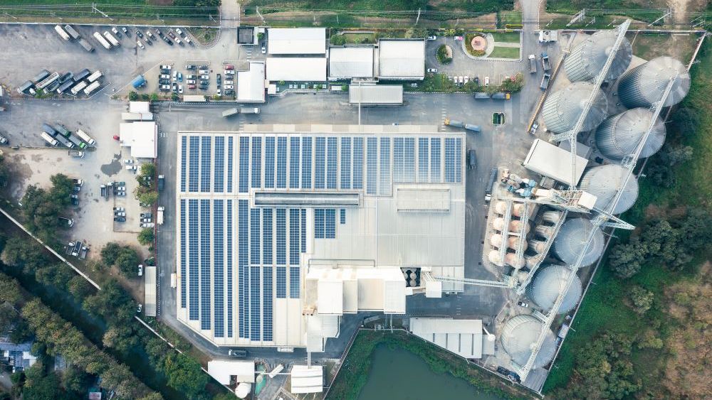 Tranziția energetică ajută industria alimentară. Care sunt beneficiile reale aduse companiilor?