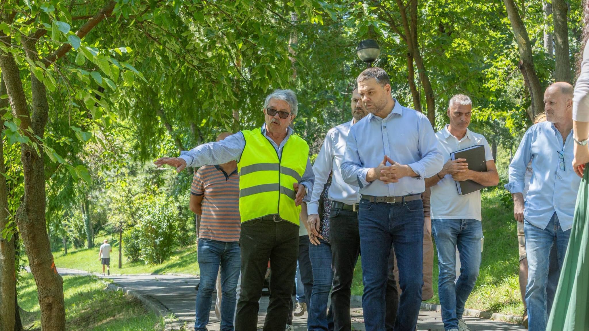 Ciucu, despre tăierea arborilor din Parcul Herăstrău: Nu am semnat niciun aviz de defrişare
