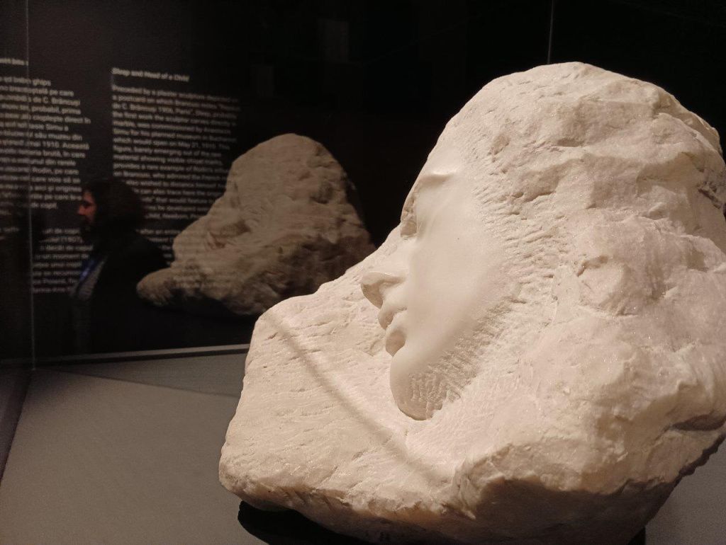 Expoziția Brâncuși de la Timișoara: capodoperele, în vizită în patria părintelui lor - Imagine 23