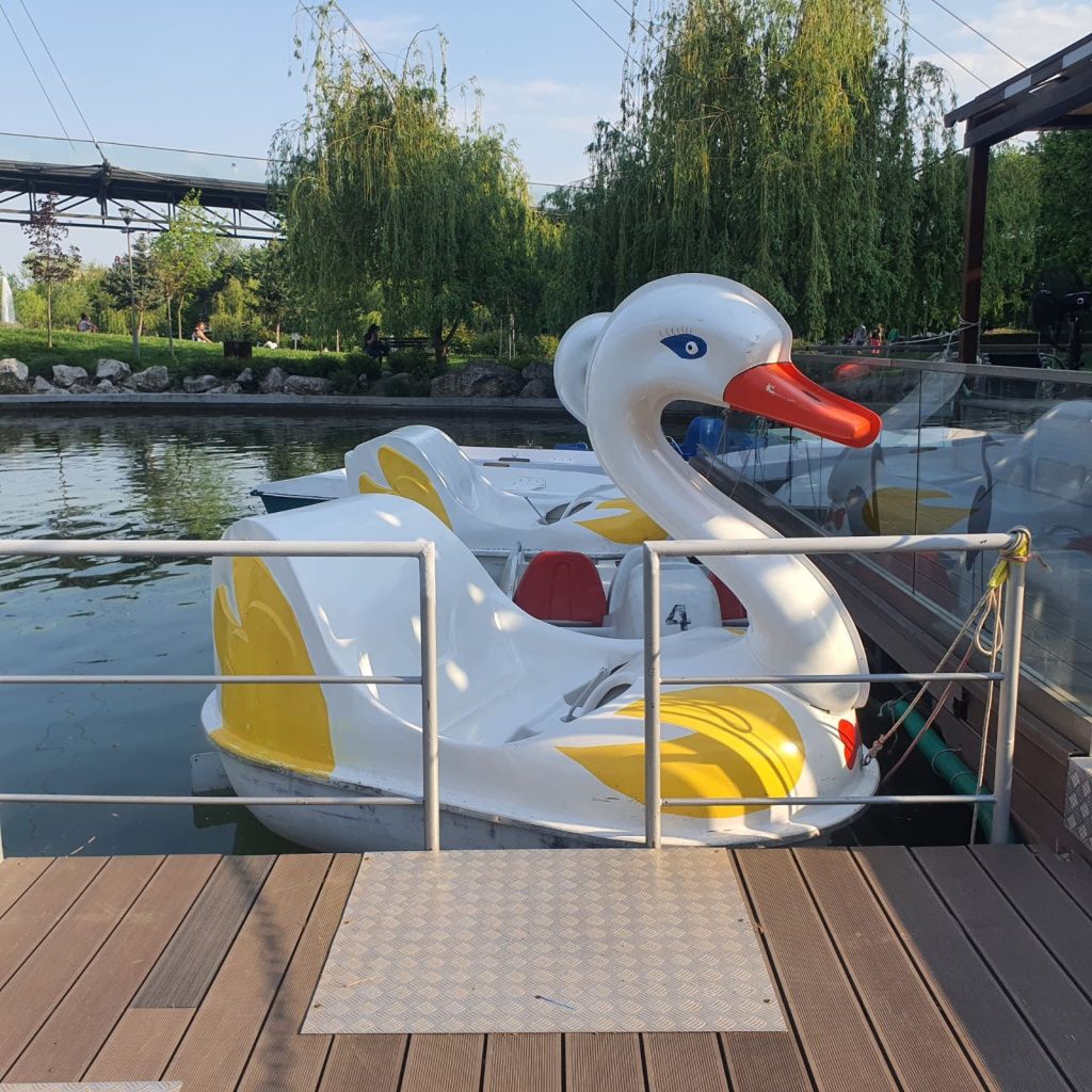FOTO: Bucureștenii se vor putea plimba gratuit cu barca, pe lacul din Parcul Drumul Taberei, de PaÈ - Imagine 2