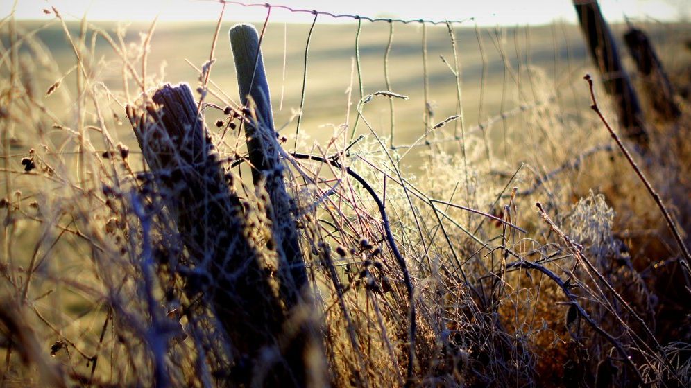 IGPR: Peste 1.000 de persoane, preluate din zonele de frontieră, în ultimele 24 de ore