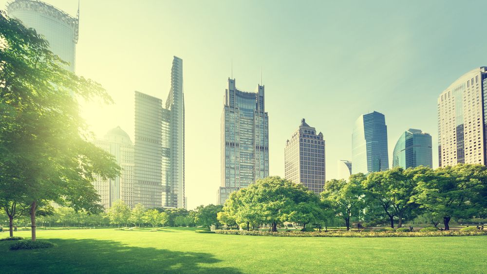 Top 5 cele mai „verzi” birouri din lume