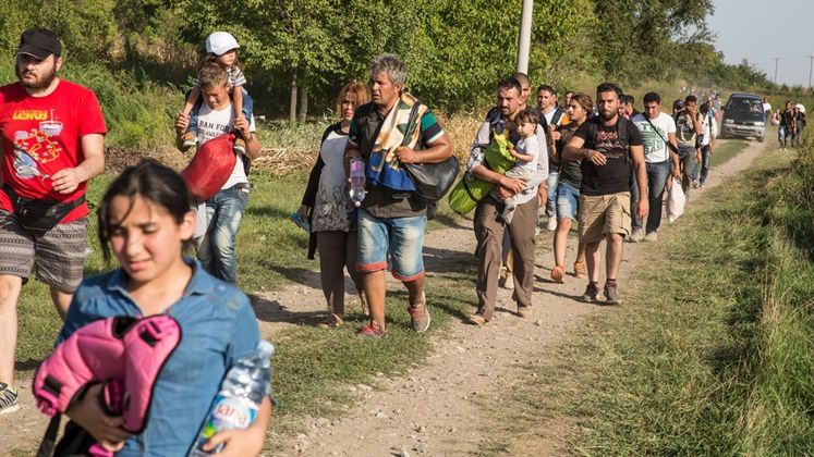 Doua grupuri de migranti au fost descoperite de Politia de Frontiera, sambata, la granitele Romaniei