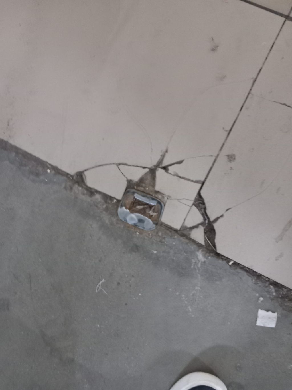Protecția Consumatorilor a dat amenzi de 6,3 milioane de lei unor magazine Auchan și Penny - Imagine 1