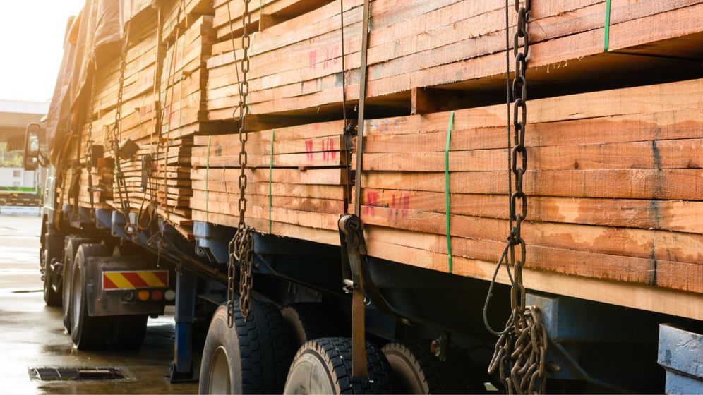 Bistriţa-Năsăud: Al treilea transport ilegal de cherestea, în zece zile