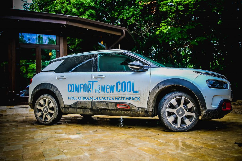 Citroen C4 Cactus - Imagine 8