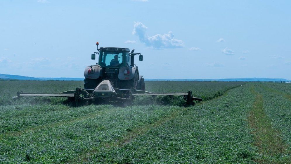 UE aprobă despăgubiri de 75 de mil. de euro pentru producătorii agricoli din România