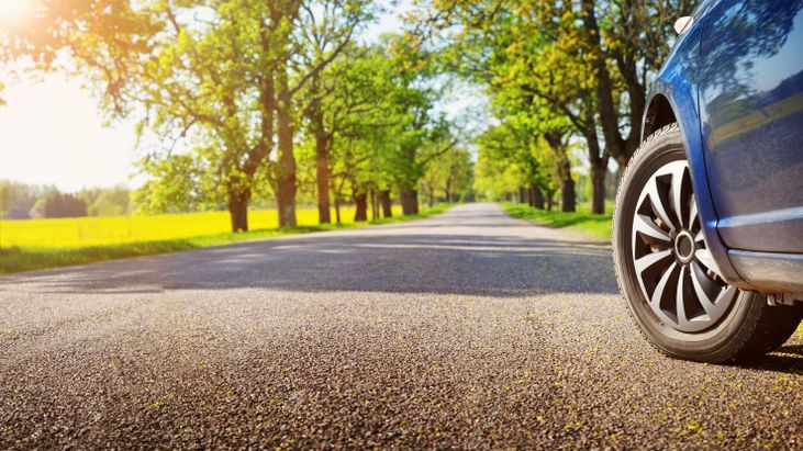 Un mare constructor auto vrea să vândă cauciucuri din coji de ouă