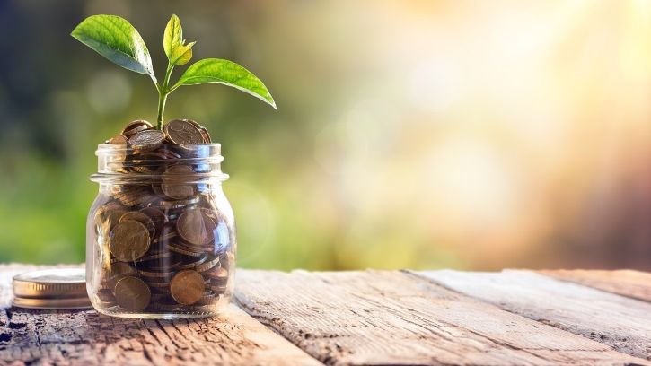 Primele estimari pentru dividendele de anul viitor