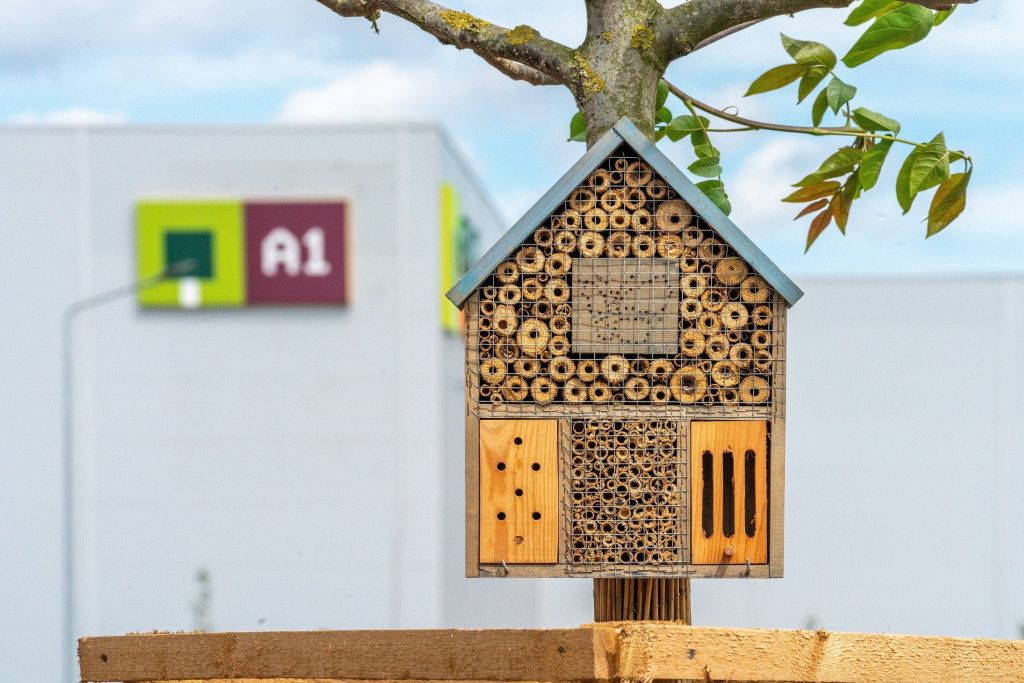 Sursa foto: CTP România