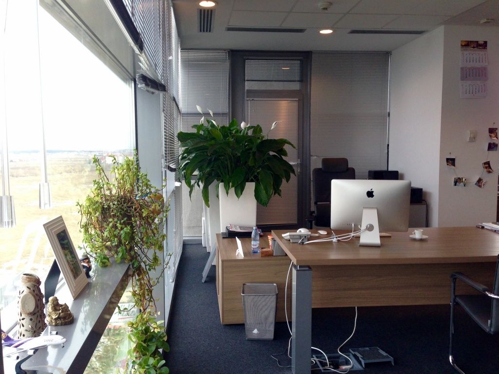 Birou de companie IB Cargo - Imagine 14