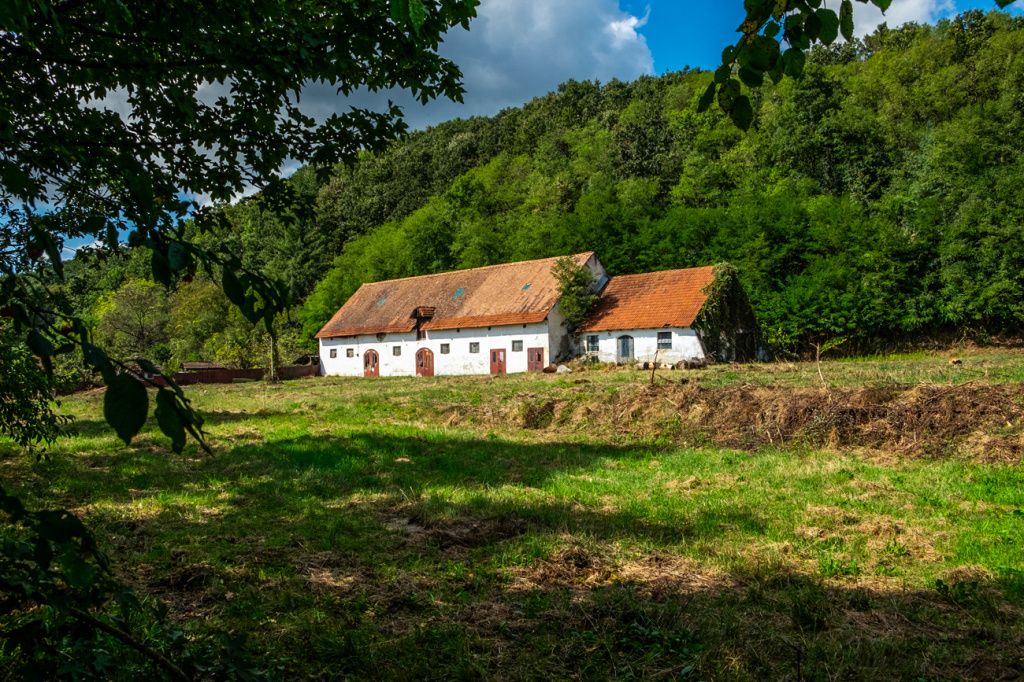 Castel de peste 200 de ani cu teren de 11 hectare, scos la vânzare pentru 770.000 de euro - Imagine 15