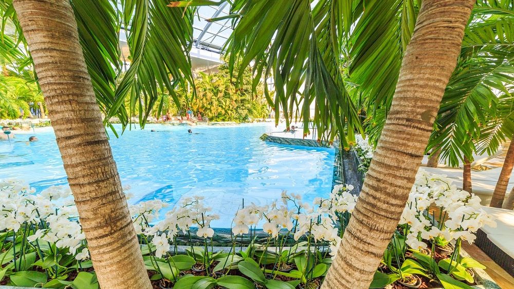 Therme închide accesul vizitatorilor pentru a preveni răspândirea COVID-19