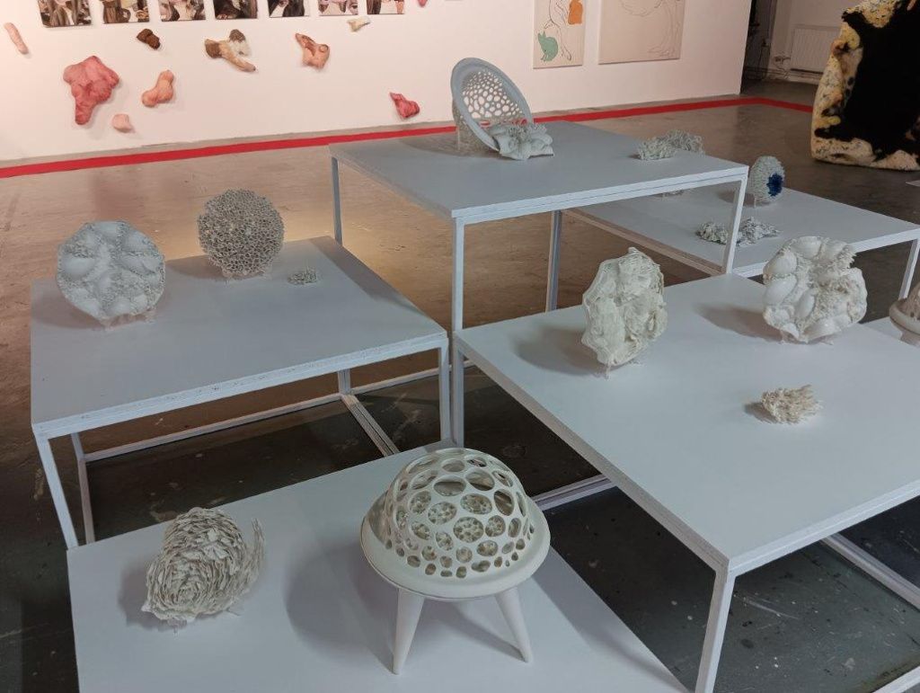 Ce poți vedea la DIPLOMA Show, festivalul unde descoperi noua generație de creatori a României - Imagine 12