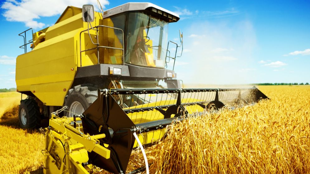 Ministrul Agriculturii: România, numărul 1 în Europa la exportul de cereale