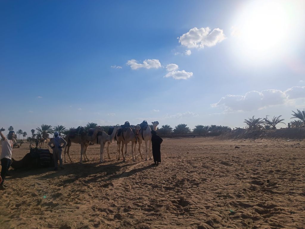 GALERIE FOTO: Vacanță în Tunisia, cu aventuri în deșert și oaze naturale, dar și cu stațiuni - Imagine 26