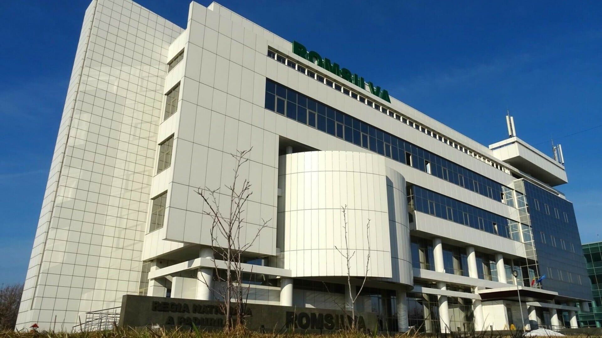 Mai puțini șefi la Romsilva: Guvernul vrea să reducă 90% din numărul de directori