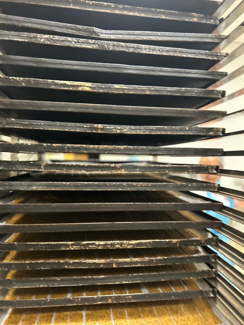 GALERIE FOTO | Furnizor al Spitalului Fundeni, închis de ANPC - Imagine 6