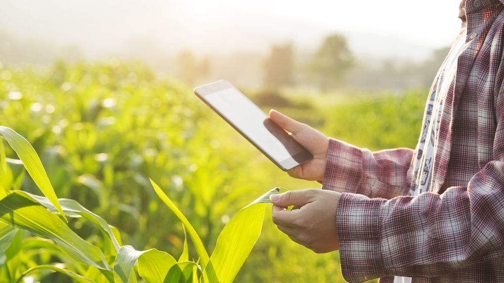 Chromosome Dynamics, o firmă care combină IT-ul cu agricultura, se listează în piața AeRO a Bursei de Valori București