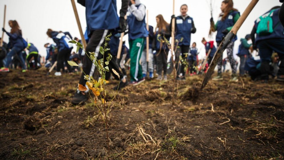 Campanie inedita a unei facultati din Cluj: Iei 10 la sesiune, planteaza un copac