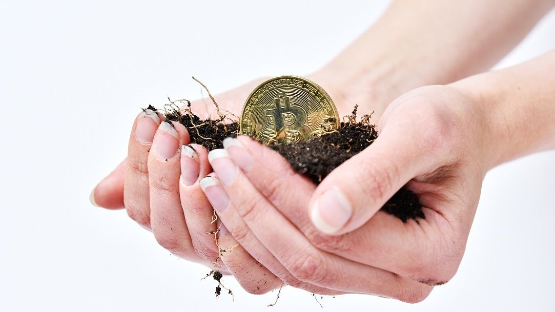 Poliția și fermele ilegale de Bitcoin: calculatoare zdrobite pe asfalt, mii de playstation-uri și descinderi cu gândul la canabis