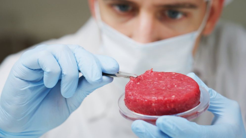 Ungaria interzice producția și vânzarea de carne cultivată în laborator