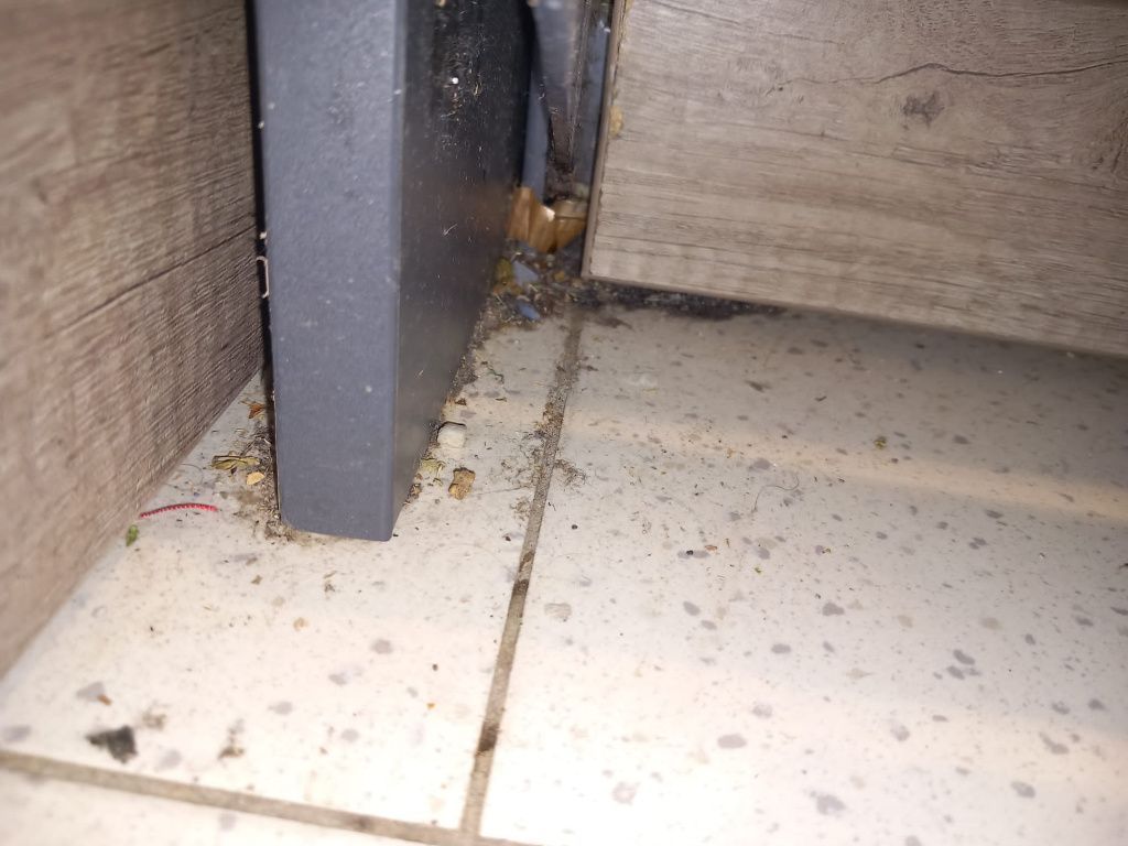 Protecția Consumatorilor a dat amenzi de 6,3 milioane de lei unor magazine Auchan și Penny - Imagine 3
