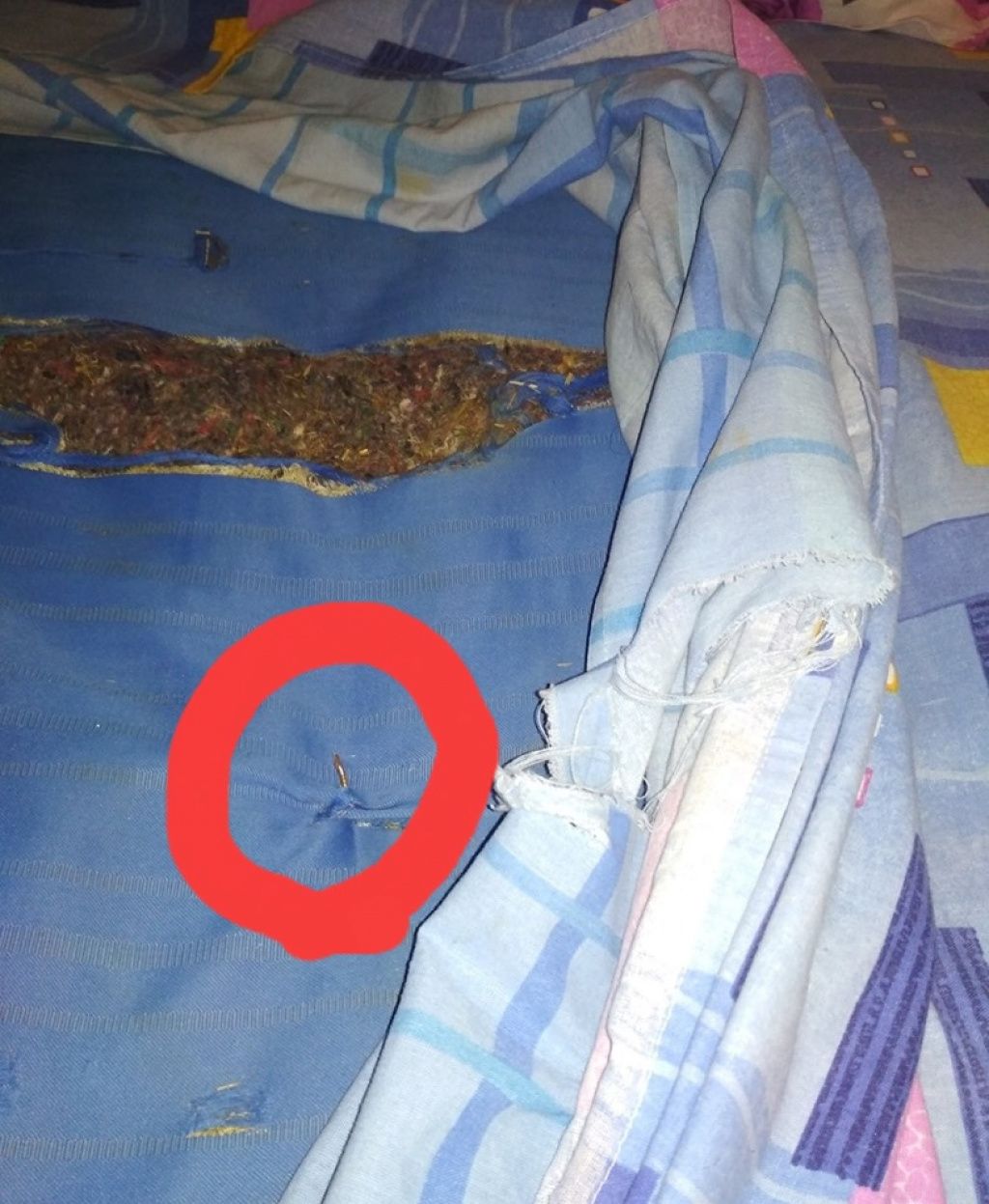 Elevi cazati - Imagine 2