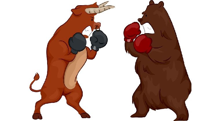 Bursele se prabusesc: Ce reprezinta ursii, taurii si intreaga gradina zoologica din pietele financiare?