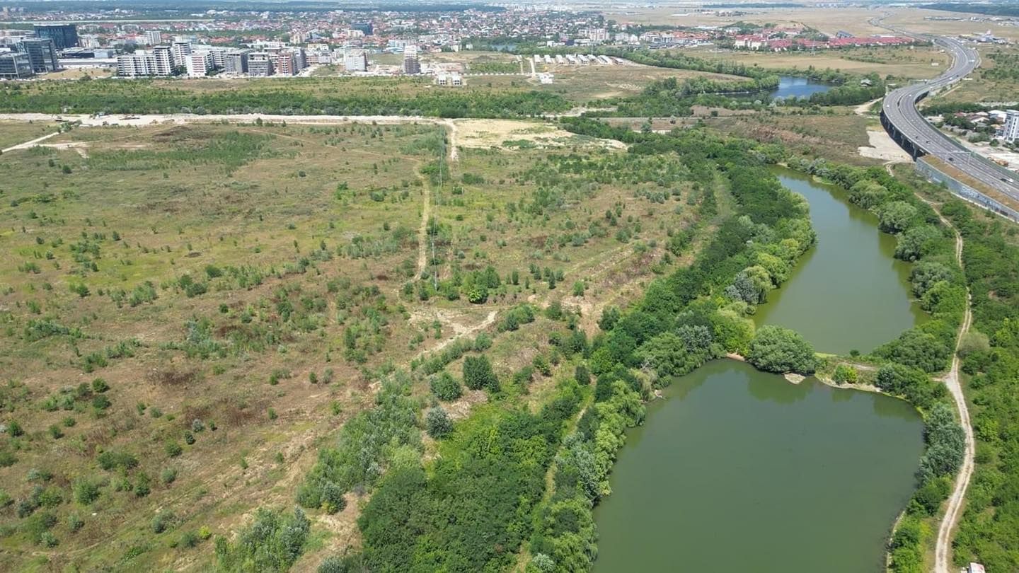 Un nou parc ar putea apărea în București: va avea peste 20 de hectare. Detalii despre proiect
