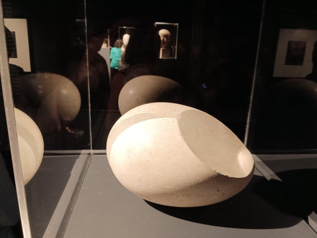 Expoziția Brâncuși de la Timișoara: capodoperele, în vizită în patria părintelui lor - Imagine 33