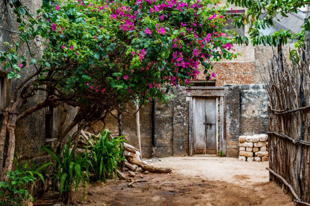 Lamu, Kenya, o străduță cu case