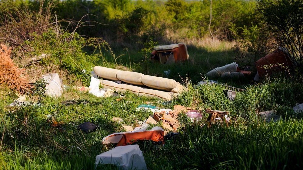 Sarantis România a colectat peste 300 de saci cu deșeuri menajere în zona Mogoșoaia, sub îndumarea Let’s Do It Romania