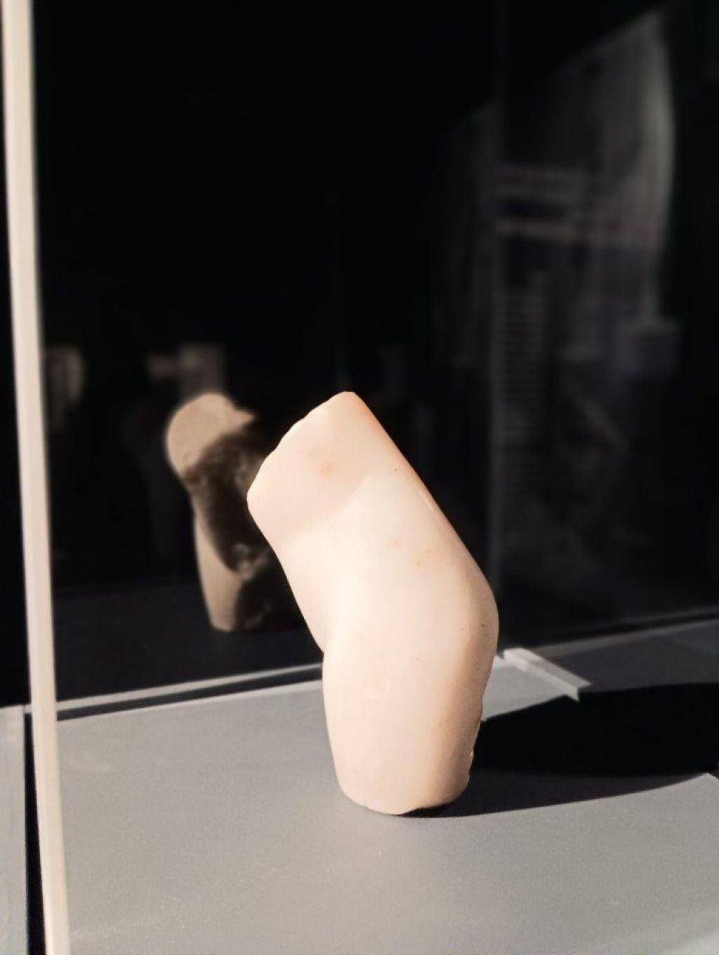 Expoziția Brâncuși de la Timișoara: capodoperele, în vizită în patria părintelui lor - Imagine 49