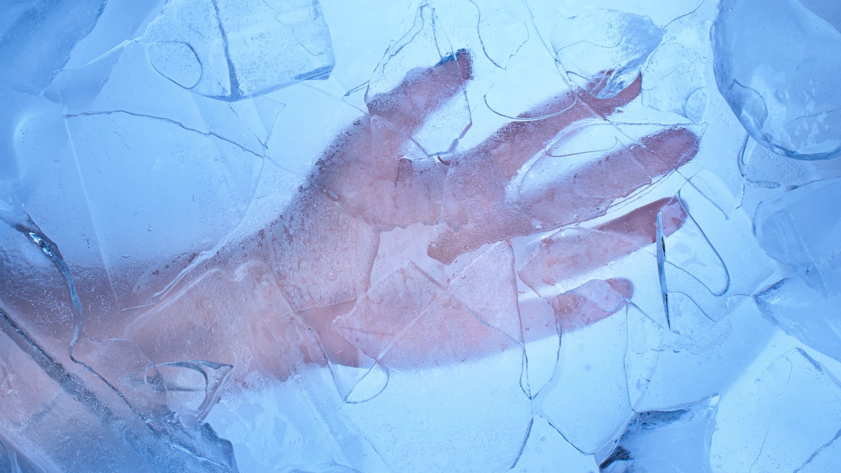 Tot mai mulți miliardari ai lumii cer să fie criogenați. Cât costă și cum funcționează