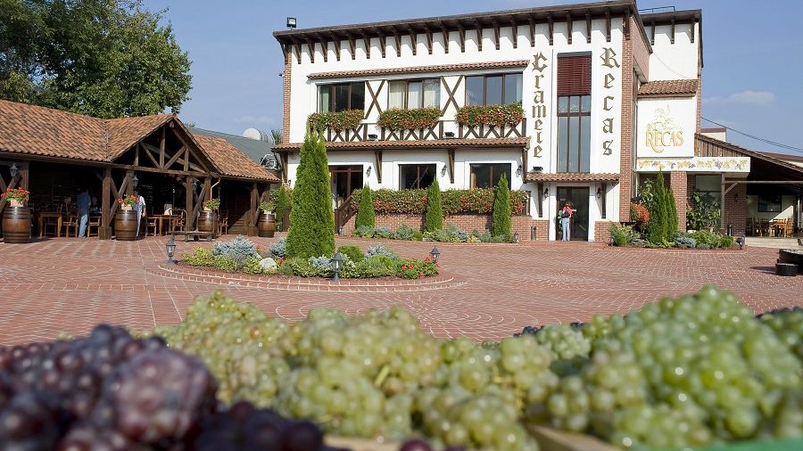 Cramele Recas obtine certificarea care atesta ca toate vinurile produse sunt vegane