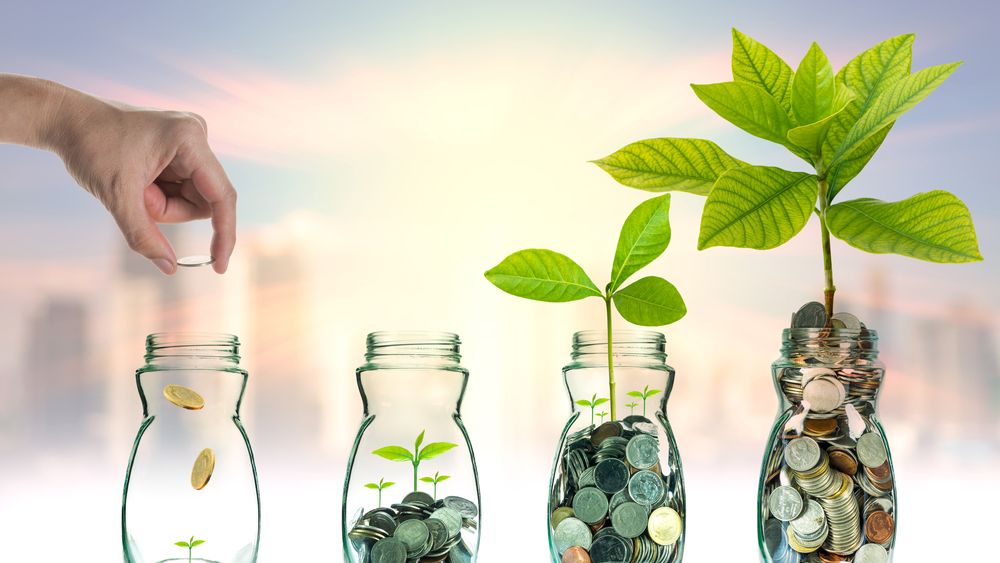 Cum sa iti investesti banii pentru efecte vizibile in timp