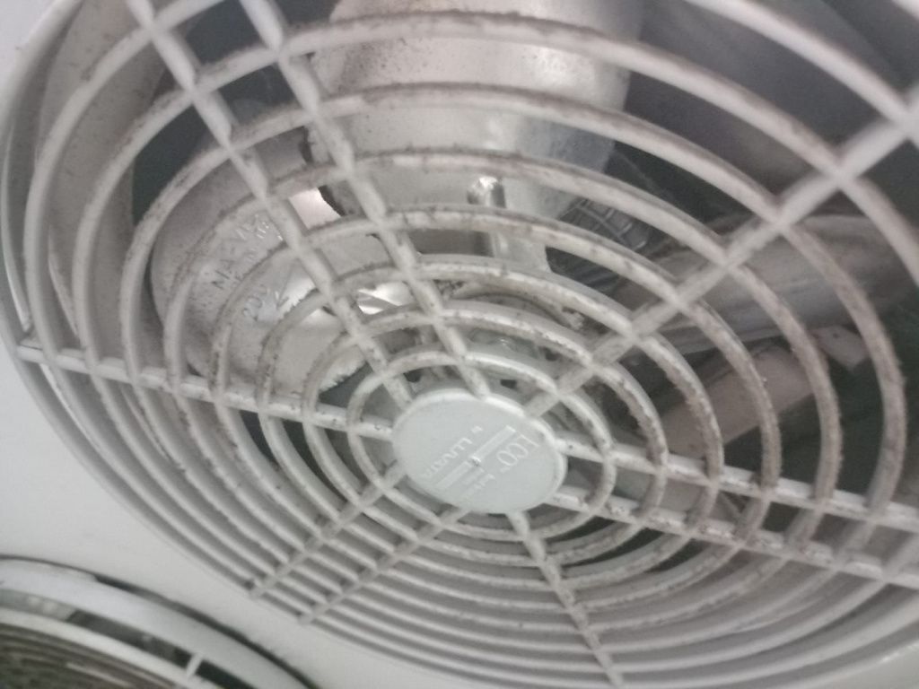 FOTO | Ce a descoperit ANPC la un restaurant popular de pe litoral. Activitatea a fost oprită - Imagine 4