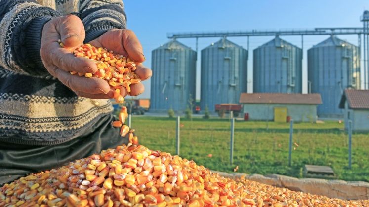 Fonduri europene nerambursabile de aproape 46 mil. euro, pentru investitii in agricultura