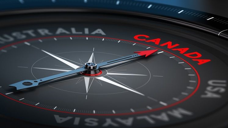 Vola.ro vine cu o oferta pentru cei ce vor sa emigreze din SUA in Canada