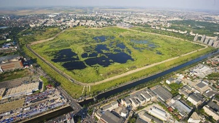 Incediu in Delta Vacaresti din Capitala: Focul a fost stins de pompieri