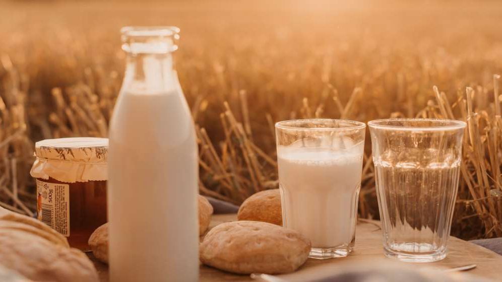 China investighează importurile de lactate din UE, inclusiv din România