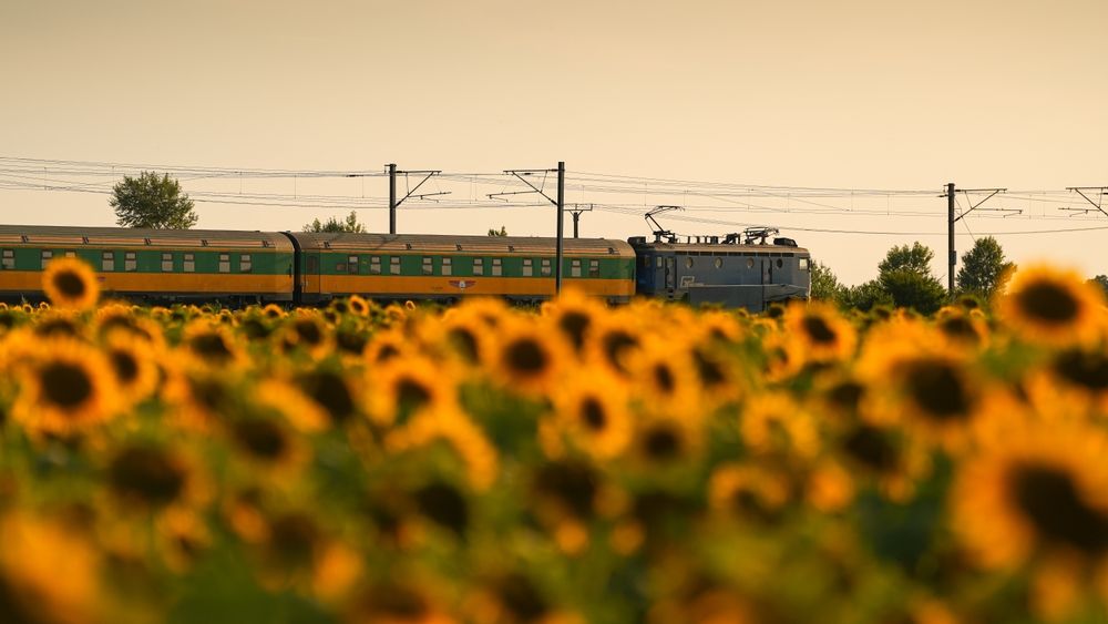 [FOTO] Vagoane noi pe ”Trenurile soarelui” lansate de CFR. Cum arată garniturile care vor duce românii la mare anul acesta