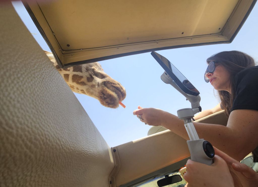 Abu Dhabi - Imagine 81