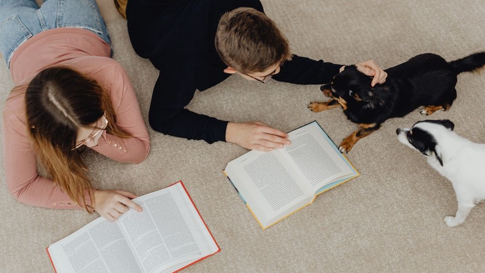 Efectul pandemiei și al inflației asupra pieței de carte pentru copii și elevi: scumpiri, dar și digitalizare accelerată