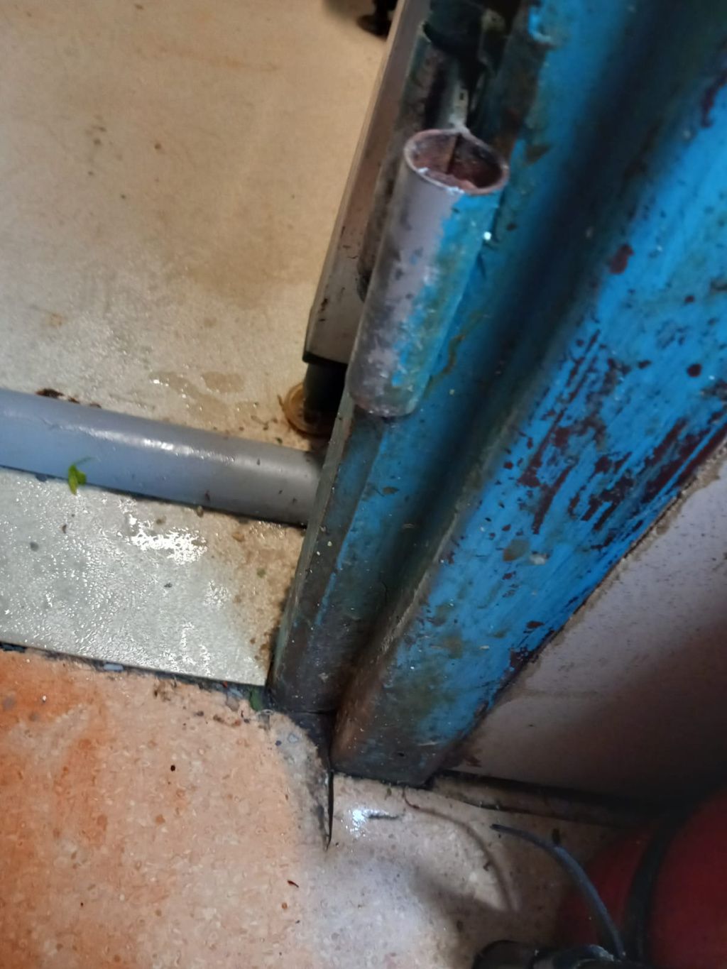 Controale la Taverna Racilor din Herăstrău - Imagine 16